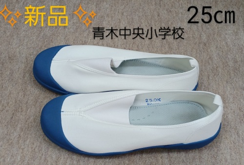 青木中央小学校の他幸並中学校でも使用している様です。