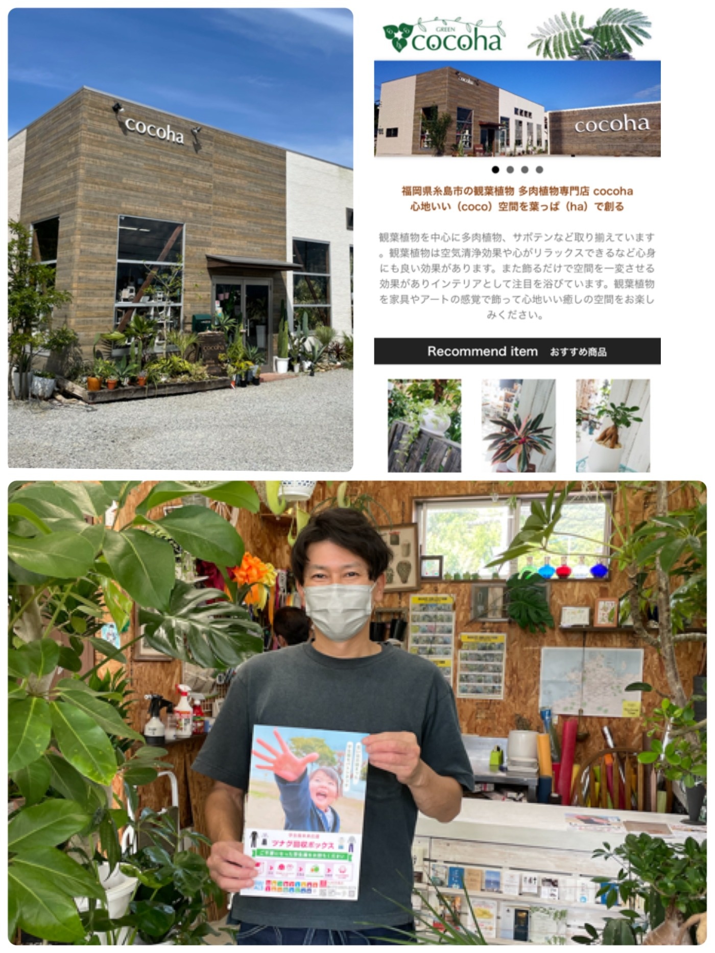 Cocoha 多肉植物専門店 回収box協力店 Cocoha 回収box協力店 九州糸島店 さくらや