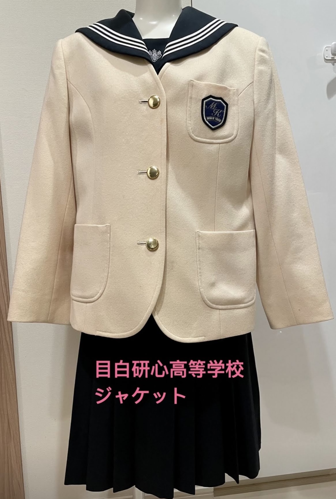 活動歴および当時の関連ビジュアル記録